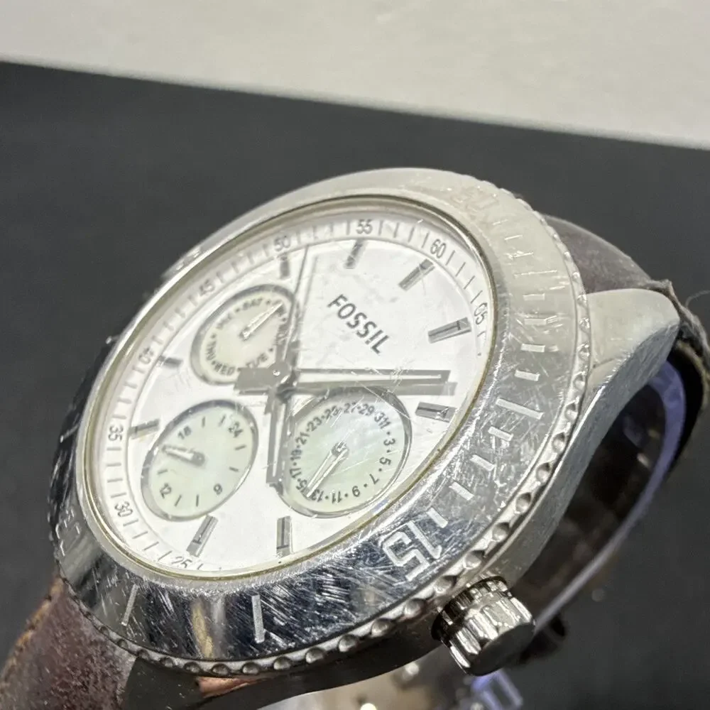 Fossil up auction